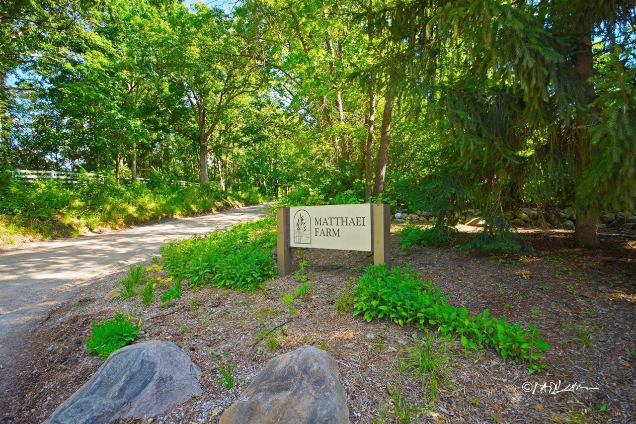 5033 Red Fox Run, Ann Arbor, MI, 48105-9530