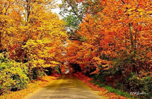 5033 Red Fox Run, Ann Arbor, MI, 48105-9530