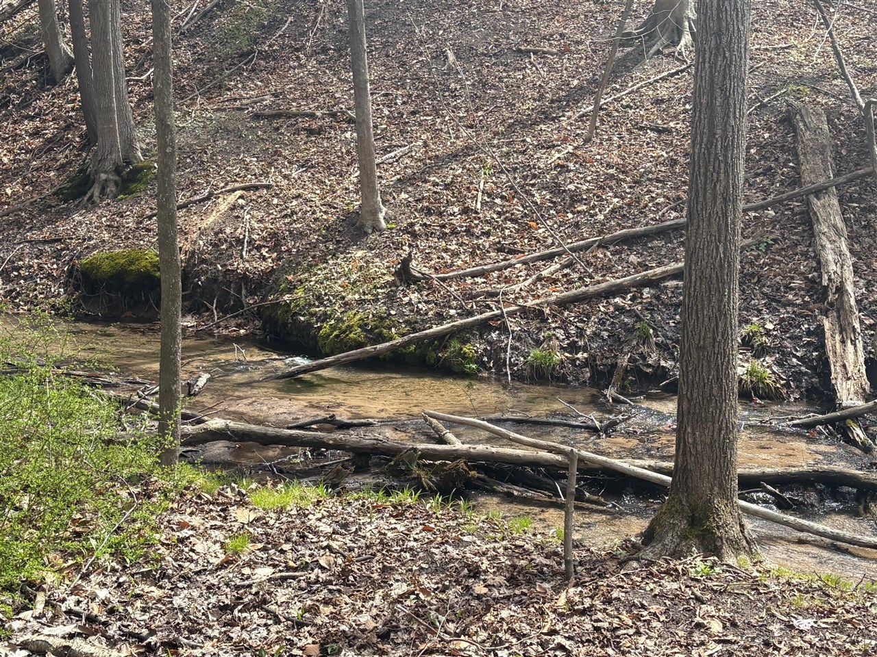 8349 Leecrest Boulevard, Onekama, MI, 49675-46675