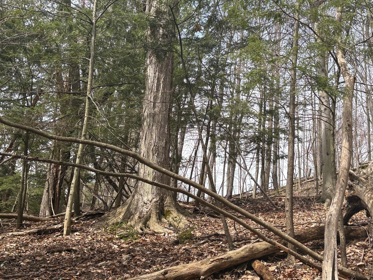 8349 Leecrest Boulevard, Onekama, MI, 49675-46675