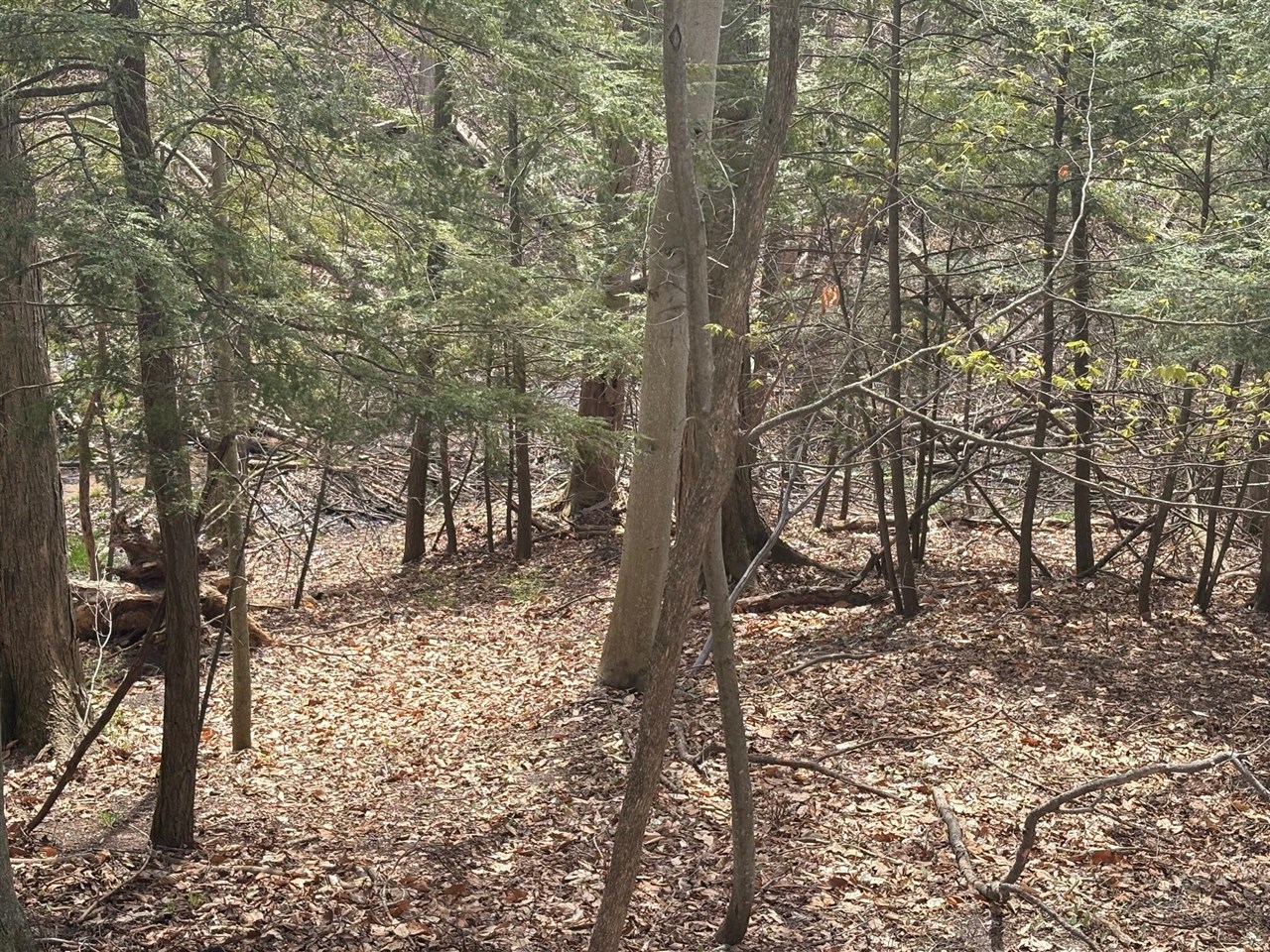 8349 Leecrest Boulevard, Onekama, MI, 49675-46675