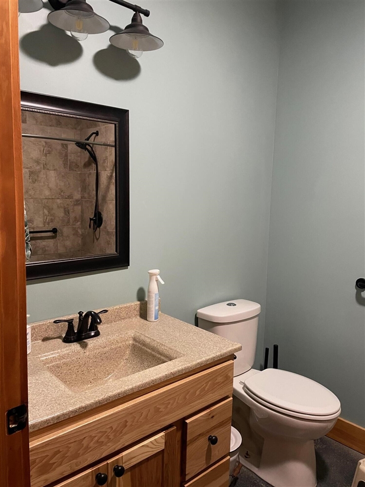 6523 Clinton Trail, Clarksville, MI, 48815