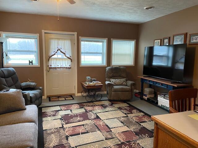 6523 Clinton Trail, Clarksville, MI, 48815