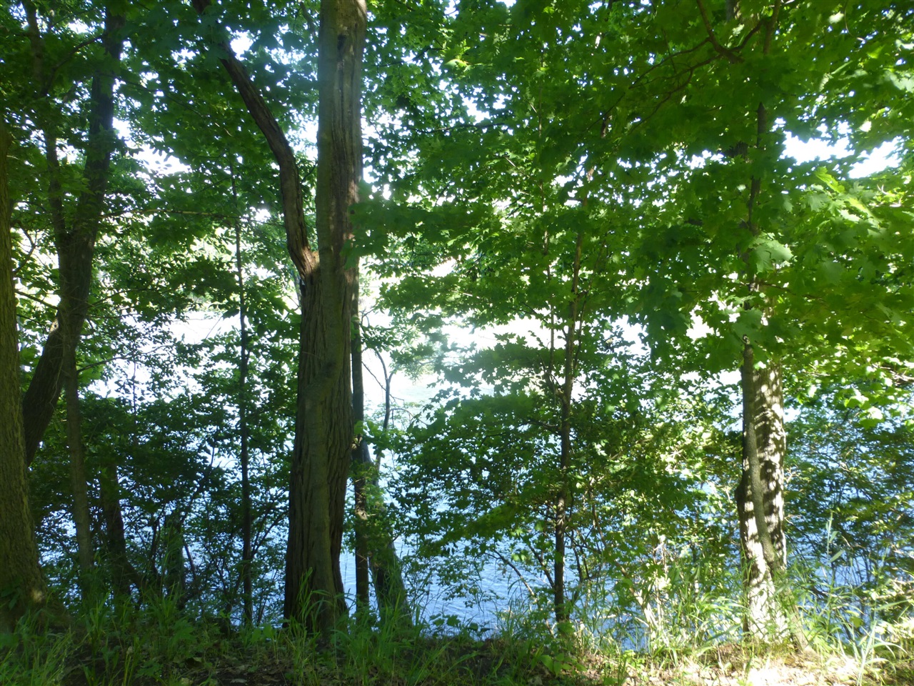 3020 Audubon Avenue, Kentwood, MI, 49512