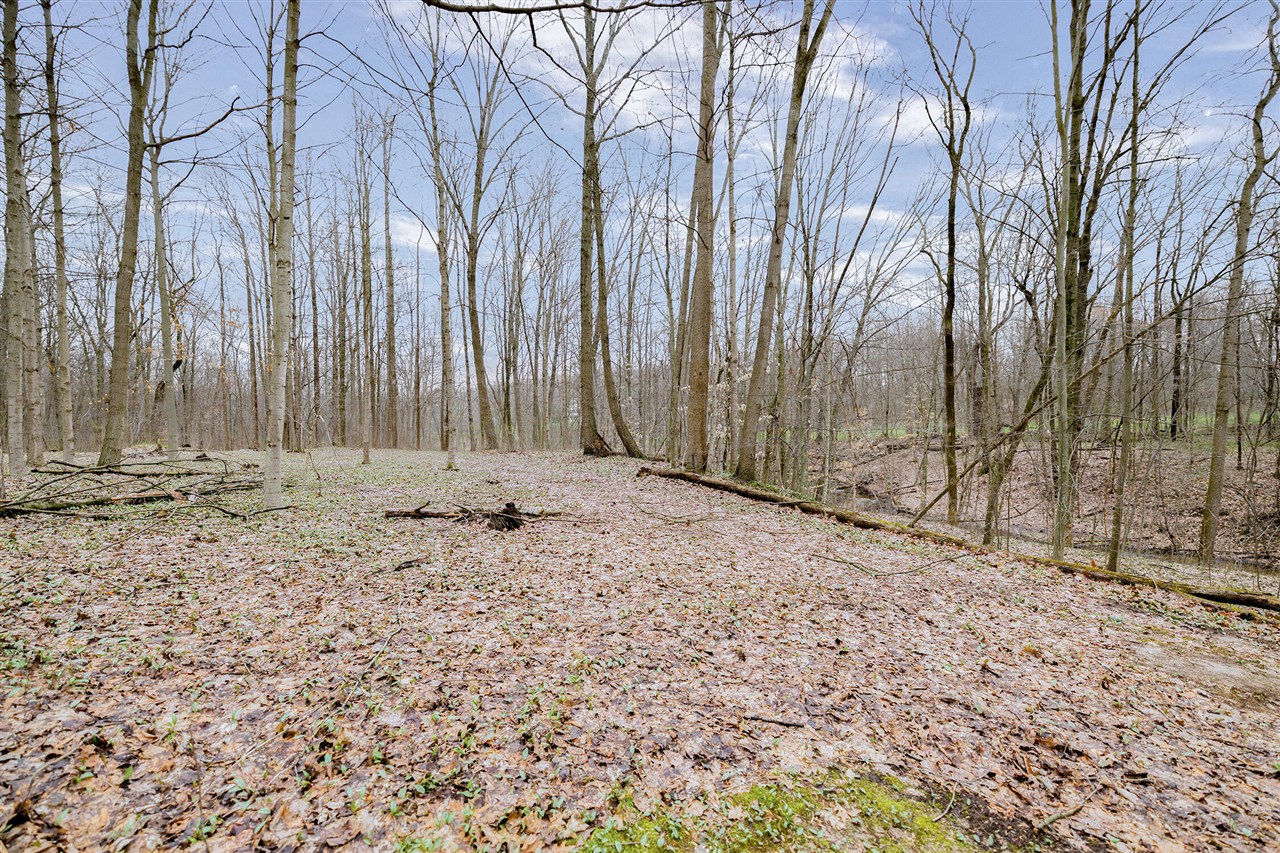 15740 Williamsville Street, Vandalia, MI, 49095-9744