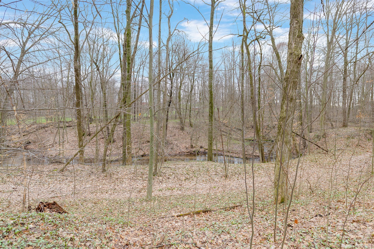 15740 Williamsville Street, Vandalia, MI, 49095-9744