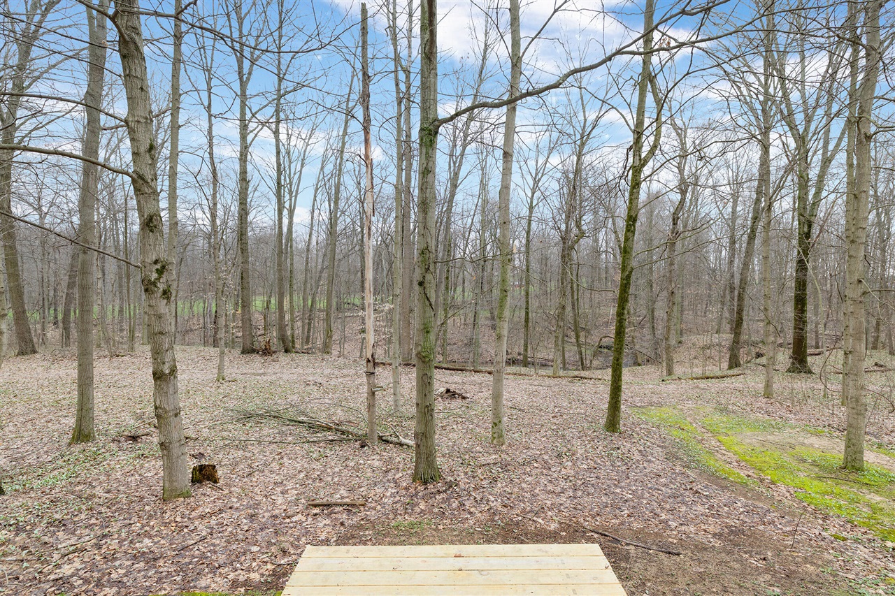 15740 Williamsville Street, Vandalia, MI, 49095-9744