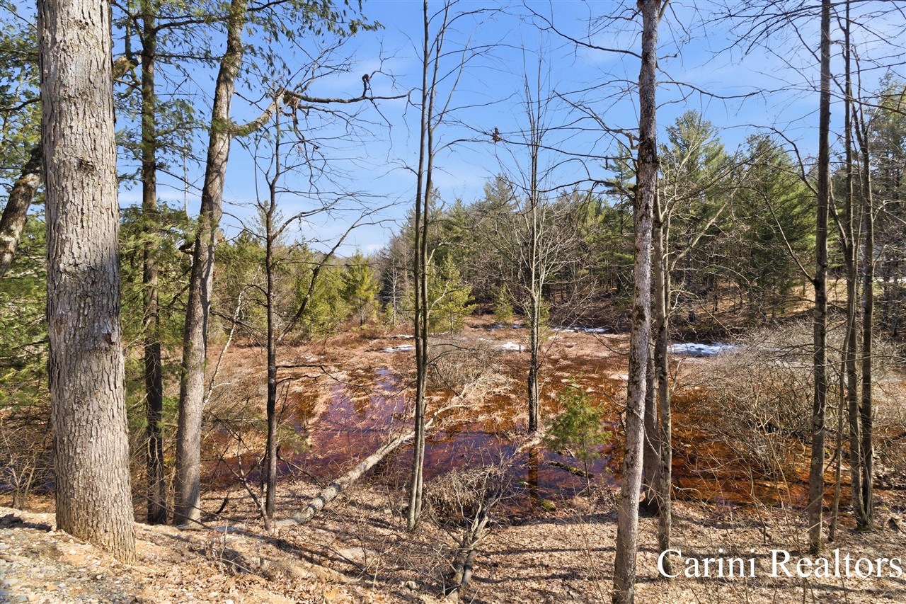 6384 N Mac Road, Irons, MI, 49644-9434