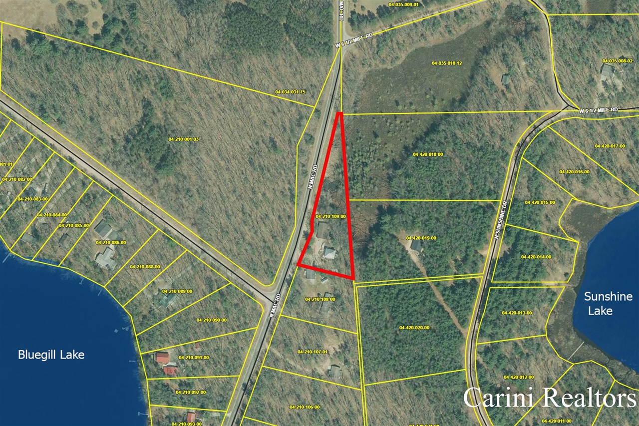 6384 N Mac Road, Irons, MI, 49644-9434