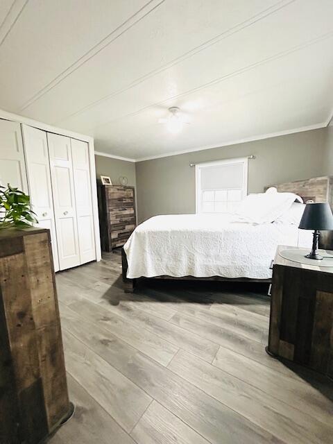 19196 Fillmore Road, Stanwood, MI, 49346-9532