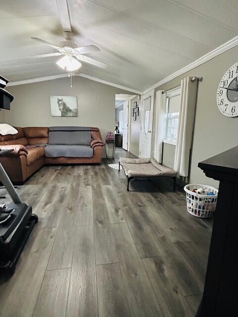 19196 Fillmore Road, Stanwood, MI, 49346-9532