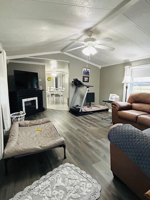 19196 Fillmore Road, Stanwood, MI, 49346-9532