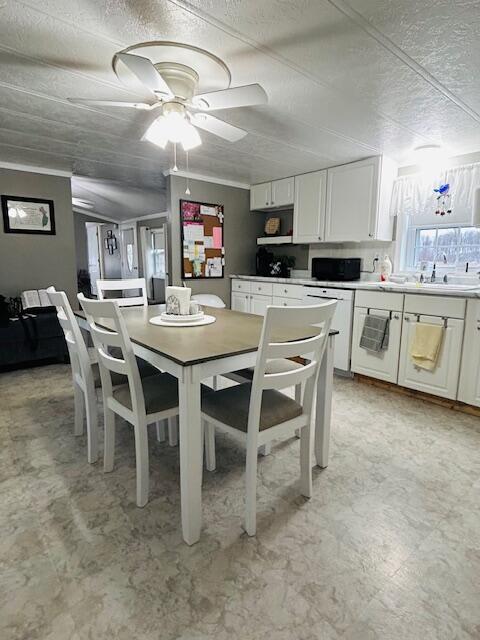 19196 Fillmore Road, Stanwood, MI, 49346-9532