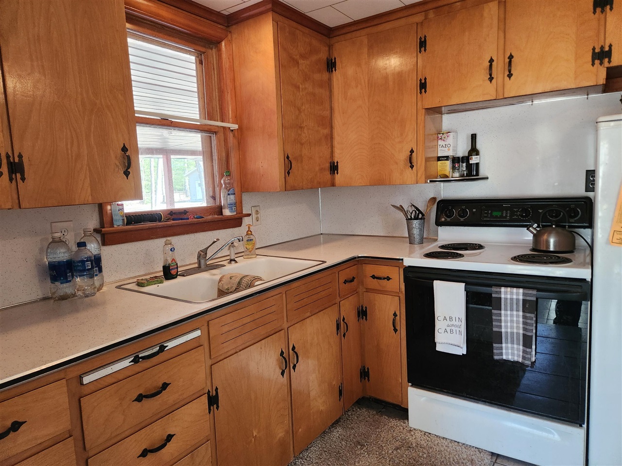 8024 W Hemlock Avenue, Baldwin, MI, 49304