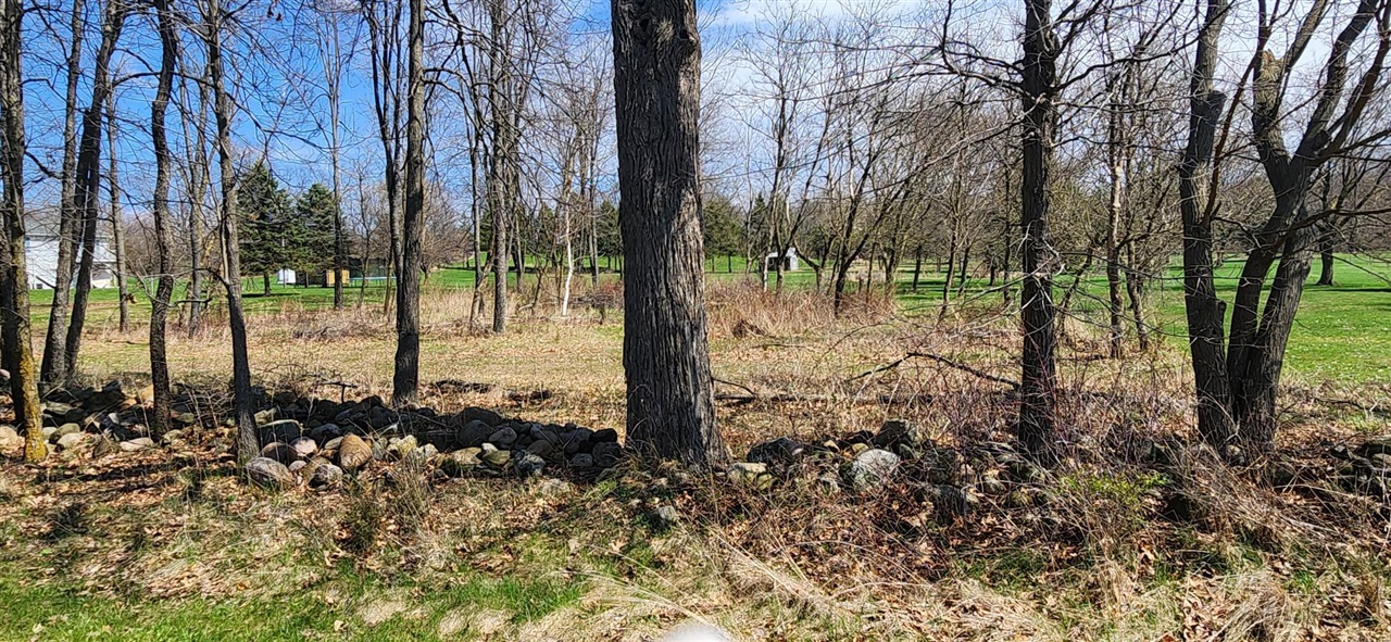 VL Cross Road, Horton, MI, 49246-9589