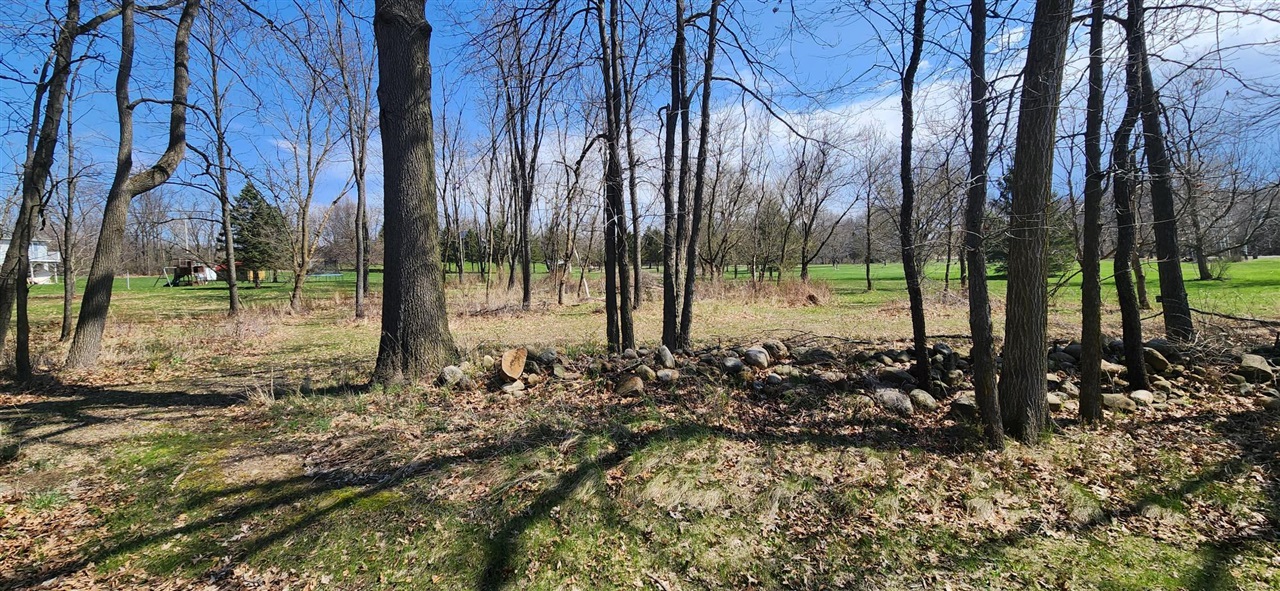 VL Cross Road, Horton, MI, 49246-9589