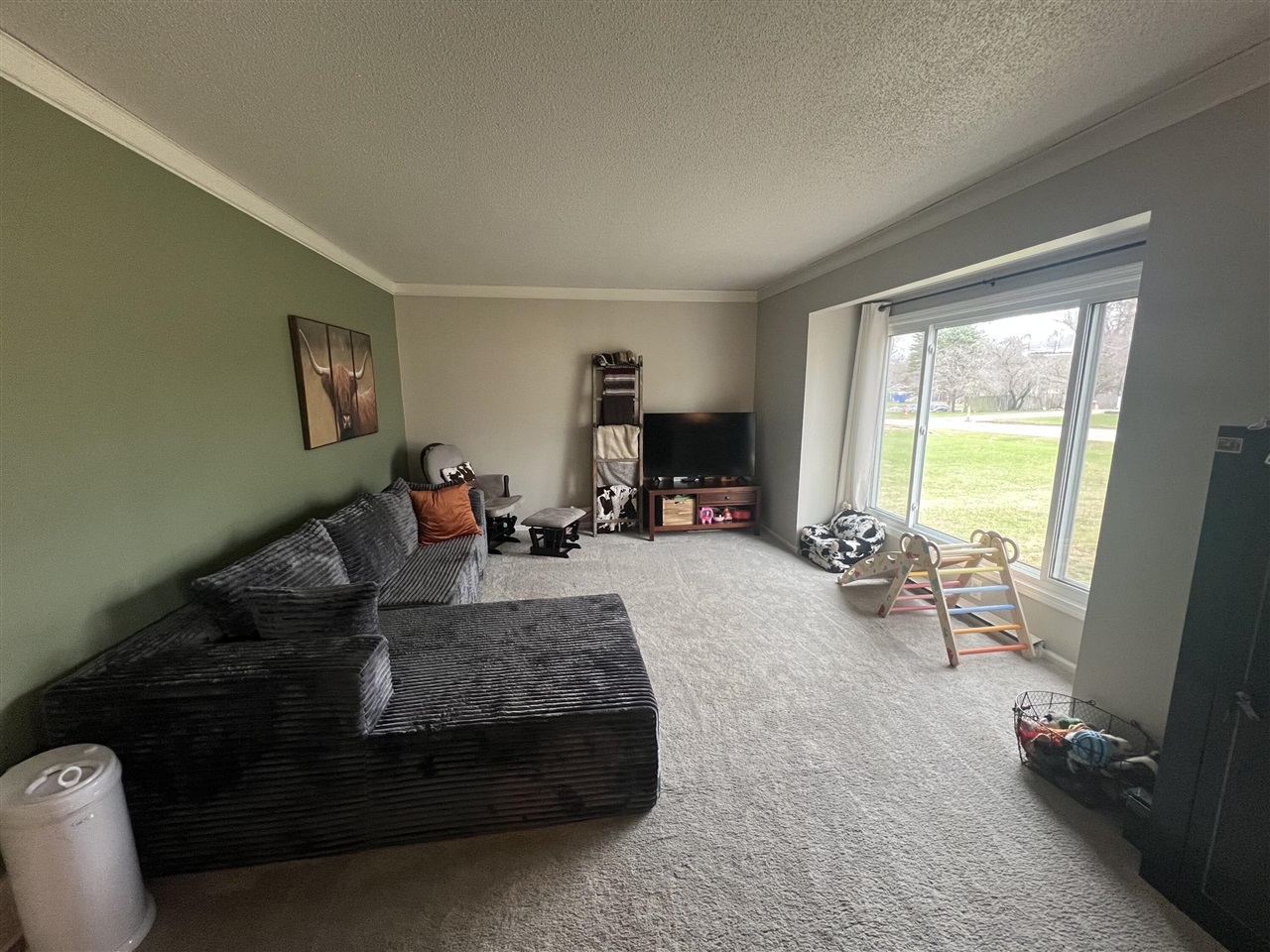 275 Lizzie Street, Hesperia, MI, 49421-9711