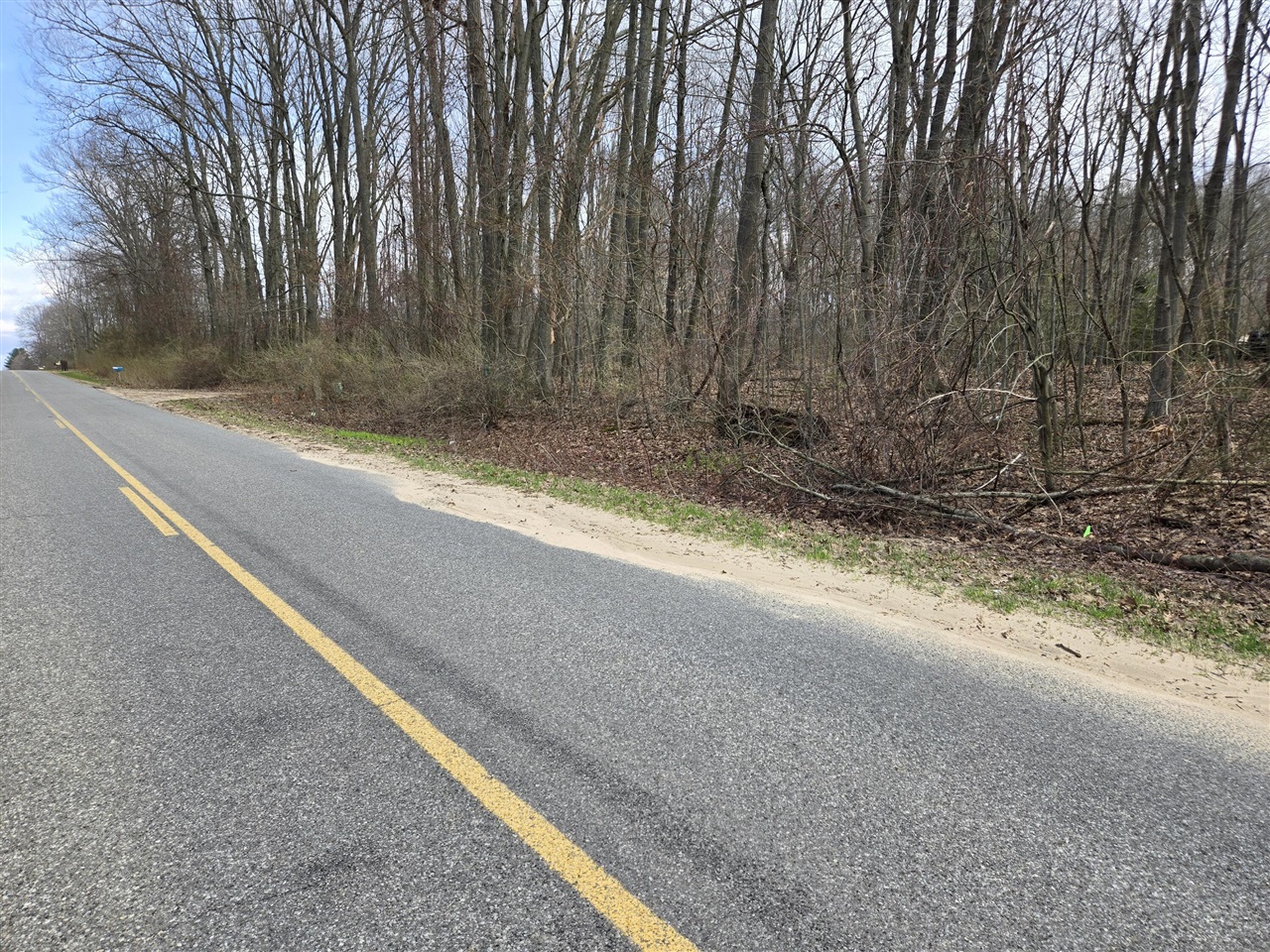 VL 8th Avenue, Grand Junction, MI, 49056