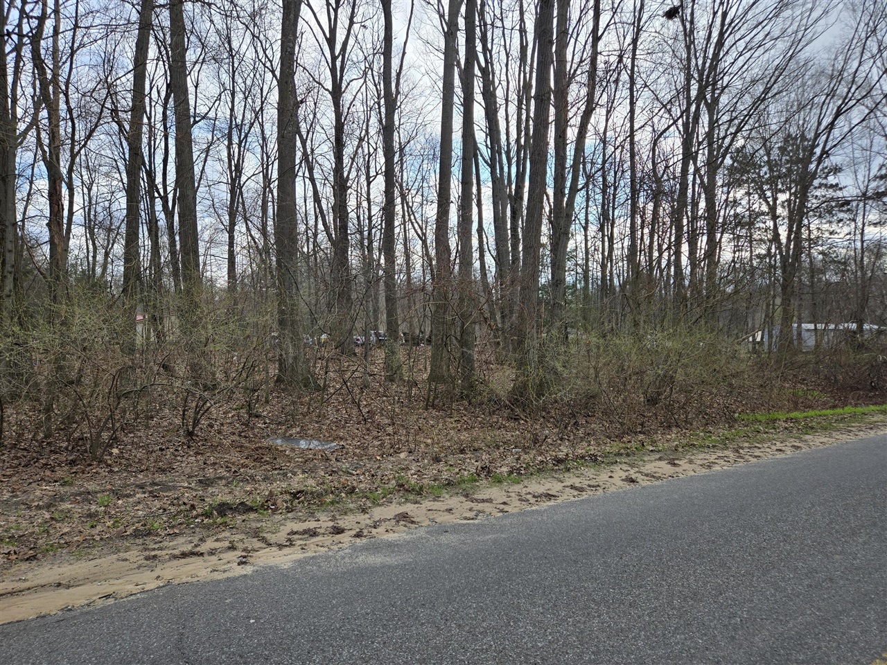 VL 8th Avenue, Grand Junction, MI, 49056