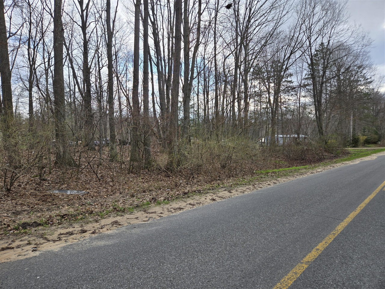 VL 8th Avenue, Grand Junction, MI, 49056