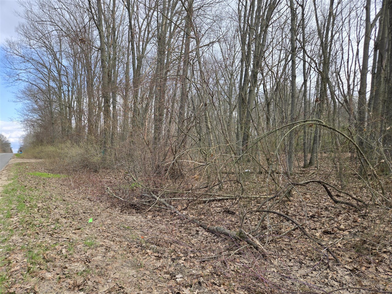 VL 8th Avenue, Grand Junction, MI, 49056