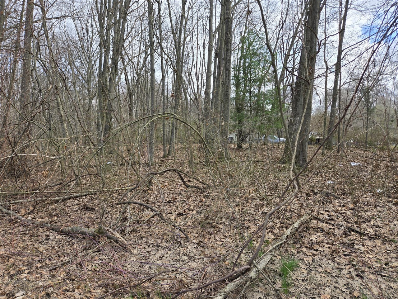 VL 8th Avenue, Grand Junction, MI, 49056