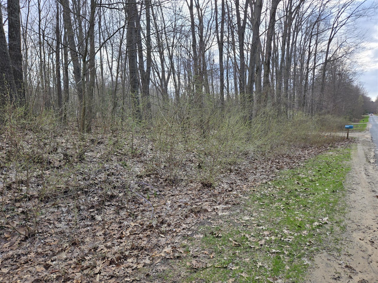 VL 8th Avenue, Grand Junction, MI, 49056