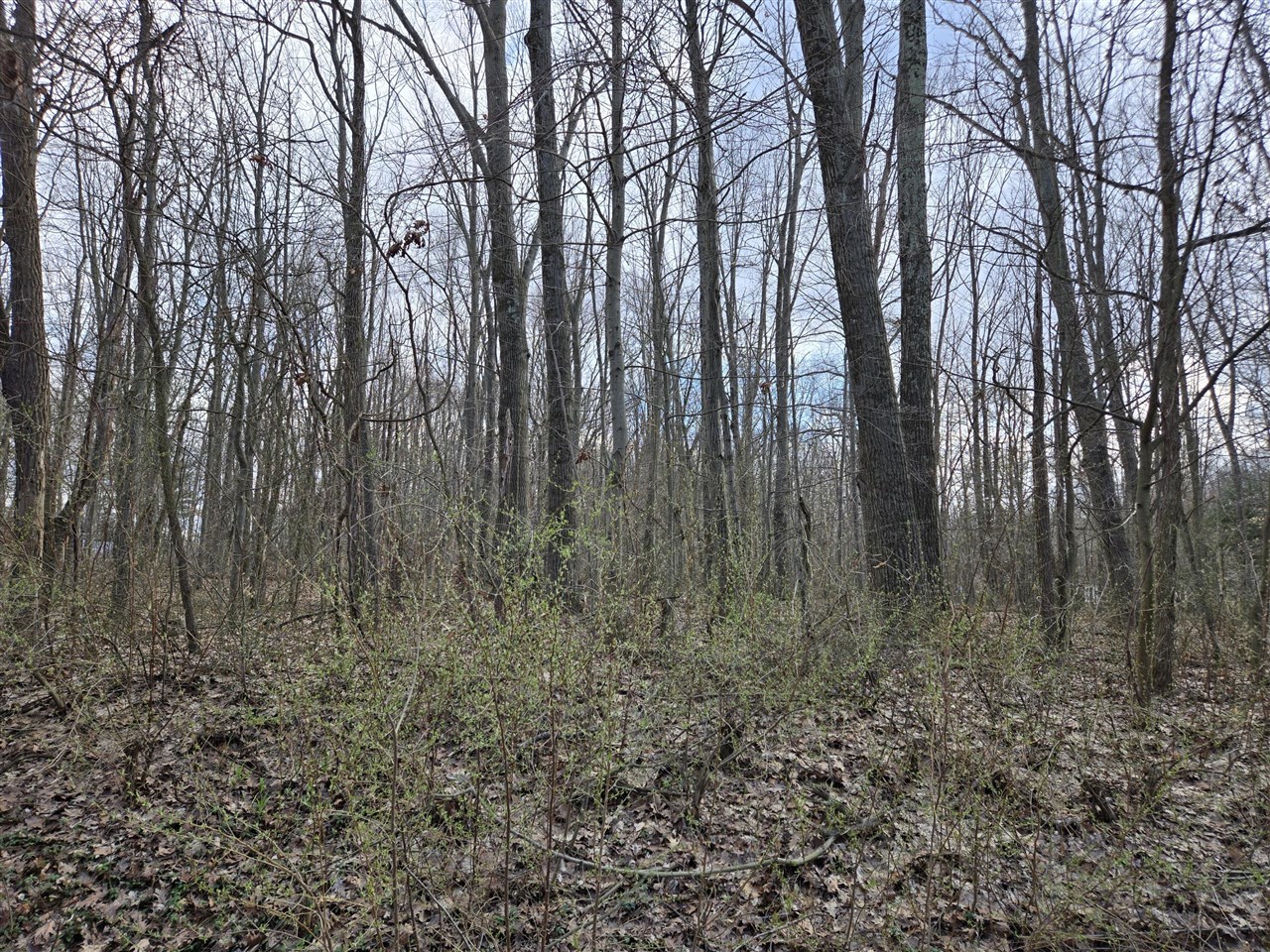 VL 8th Avenue, Grand Junction, MI, 49056