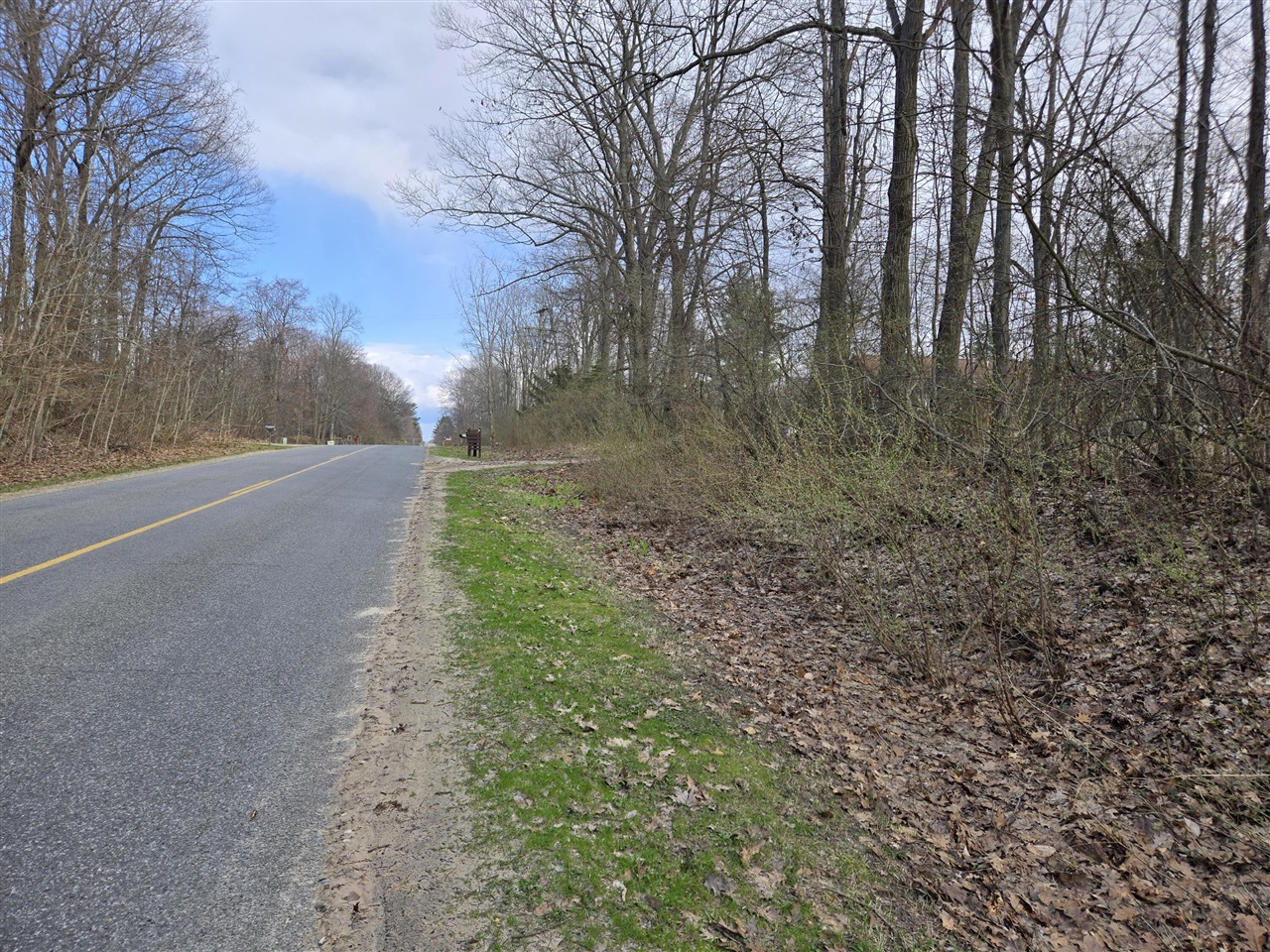 VL 8th Avenue, Grand Junction, MI, 49056