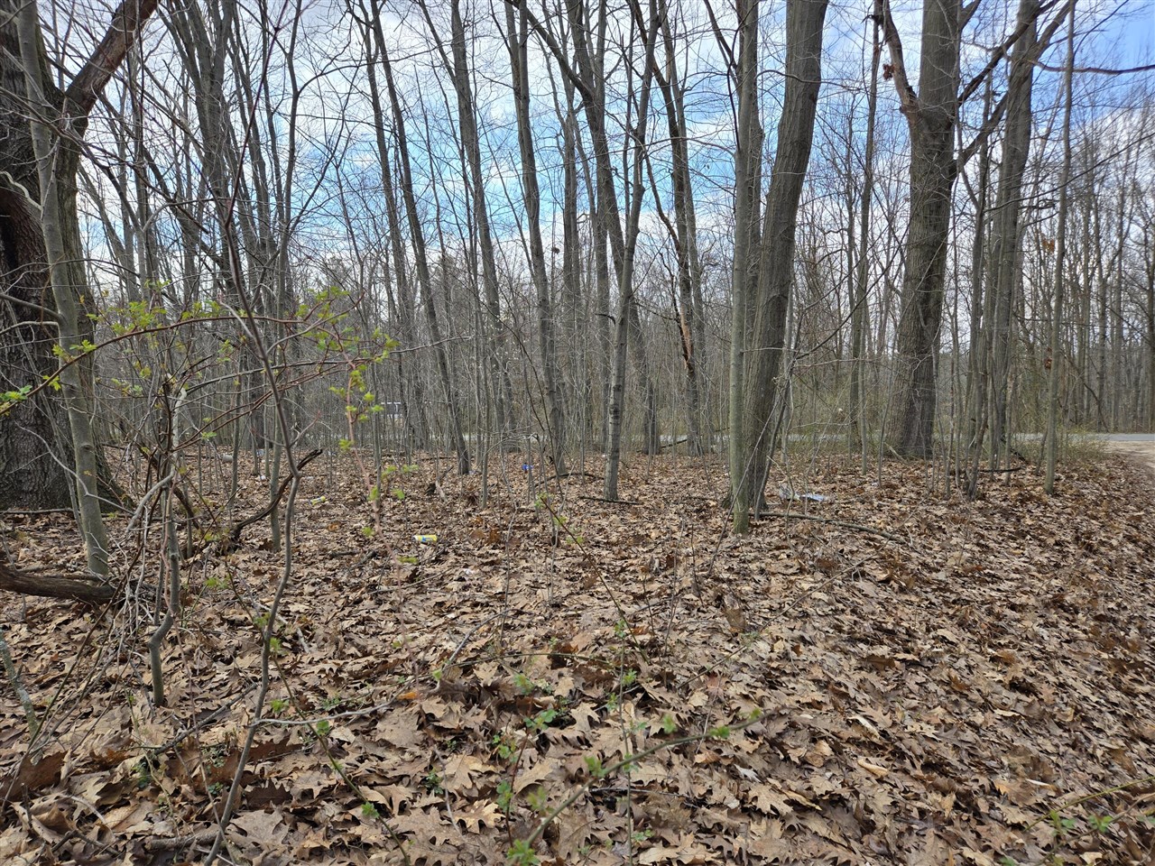 VL 8th Avenue, Grand Junction, MI, 49056