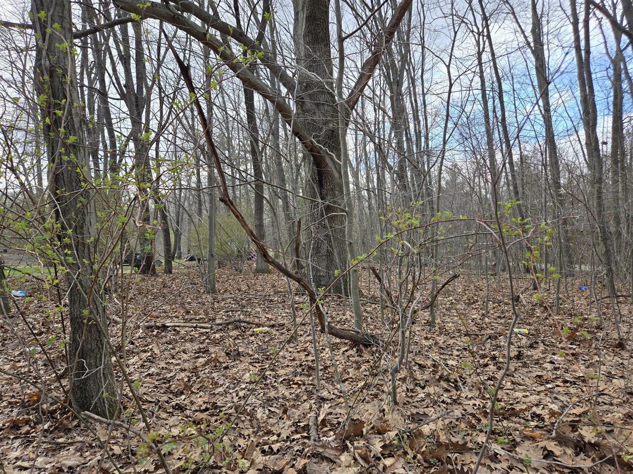 VL 8th Avenue, Grand Junction, MI, 49056