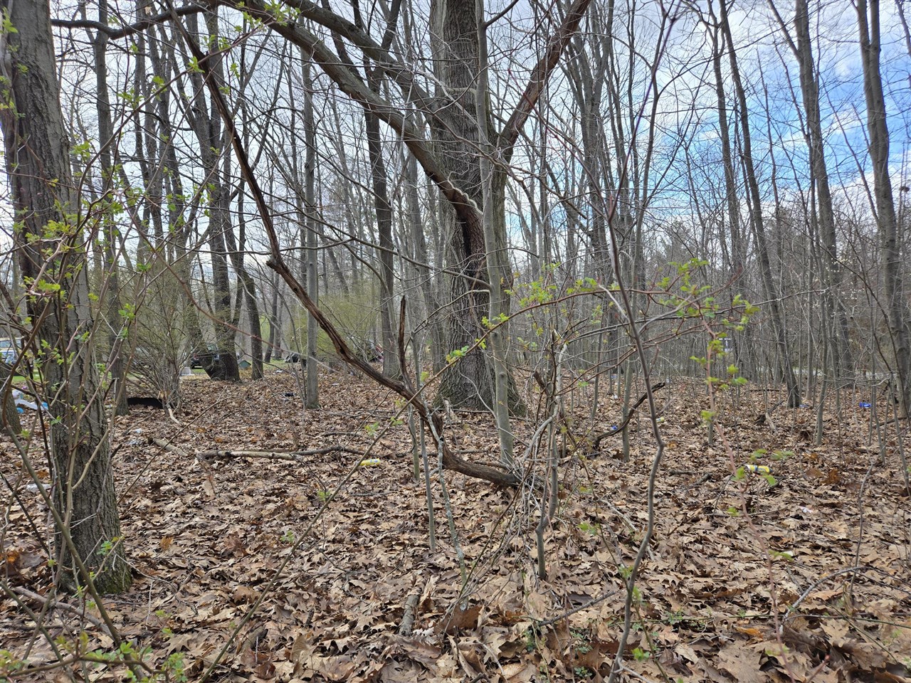 VL 8th Avenue, Grand Junction, MI, 49056