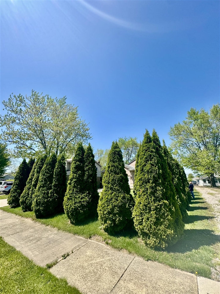 15338 Flanders Street, Southgate, MI, 48195-2974