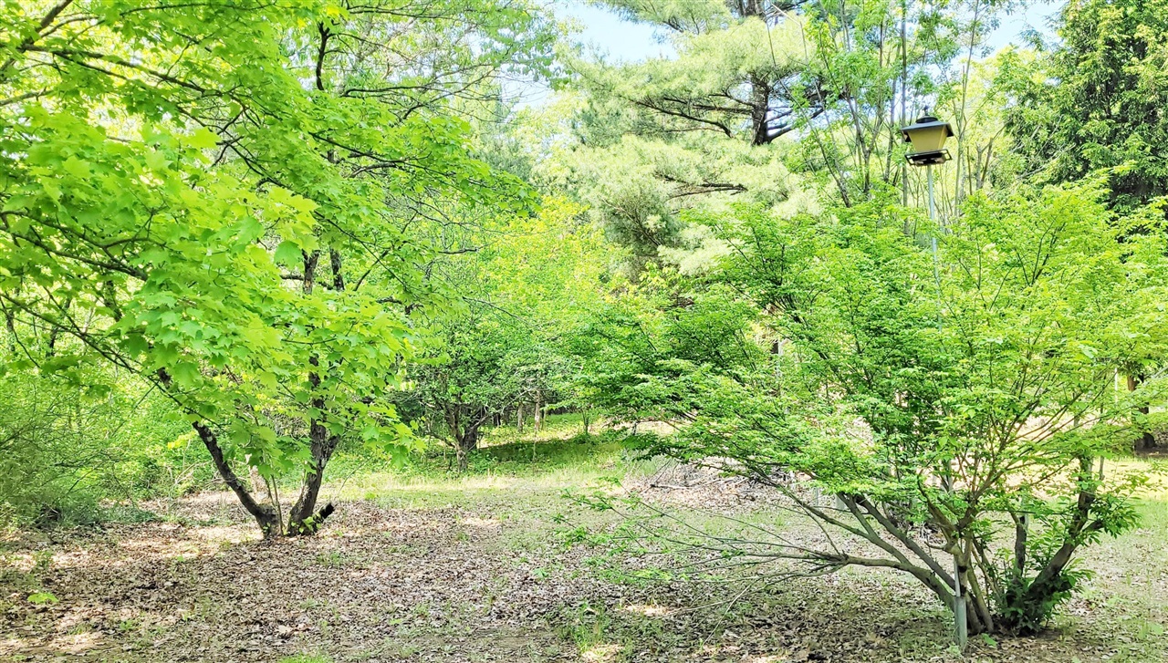 5350 E Crystal Lake Road, Holton, MI, 49425-8563