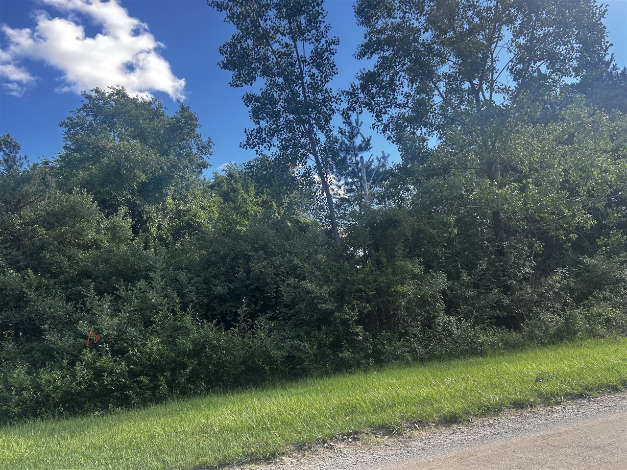 2nd image of W Ranger Rd, Perrinton, MI 48871 | MLS# 70524596
