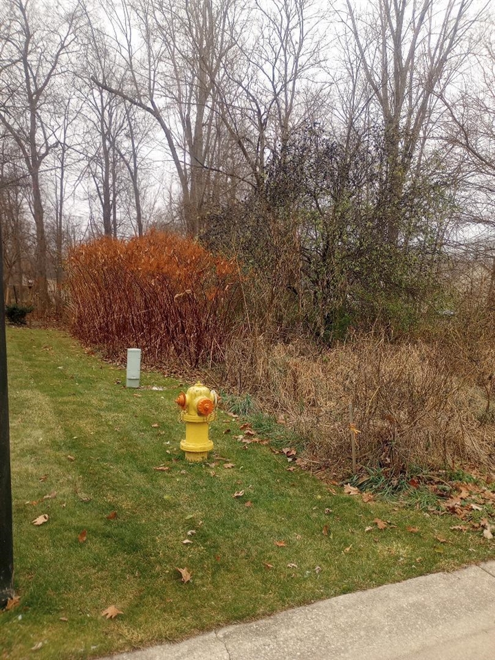 4093 Libbie Drive, Clio, MI, 48420-8202