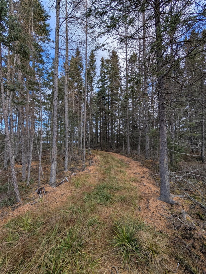 VL Slough Lake Road, Update, MI, 49841-9011