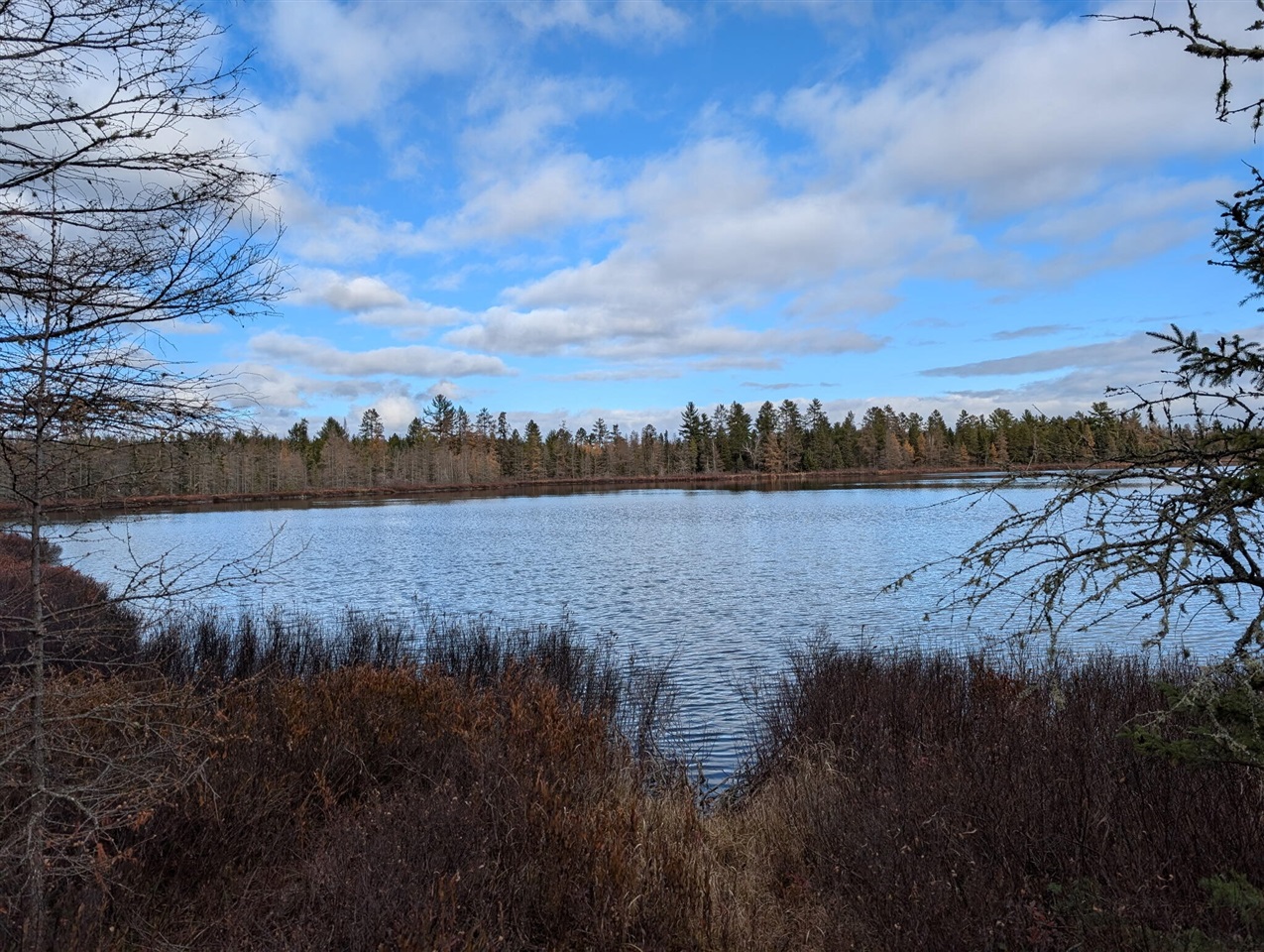VL Slough Lake Road, Update, MI, 49841-9011