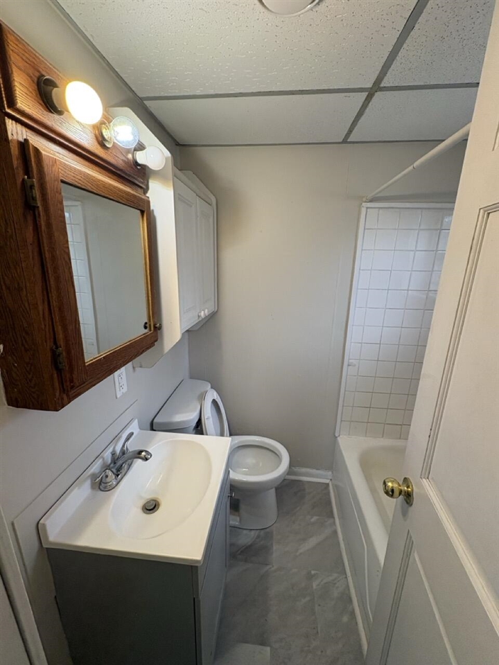 258 E Adams Street, Ionia, MI, 48846-1739