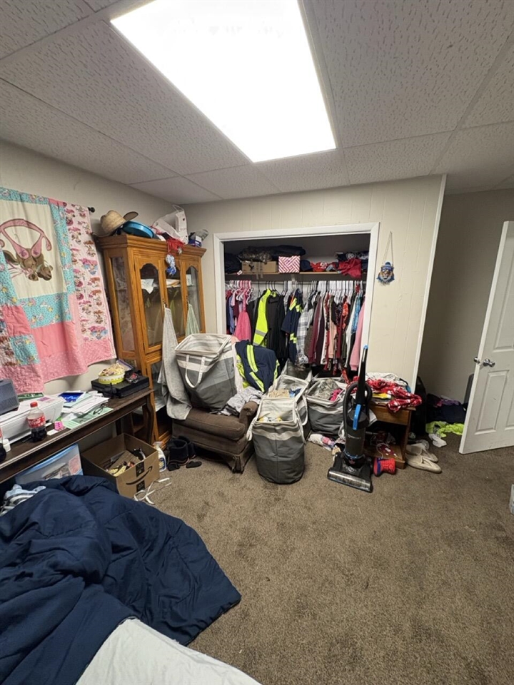 258 E Adams Street, Ionia, MI, 48846-1739