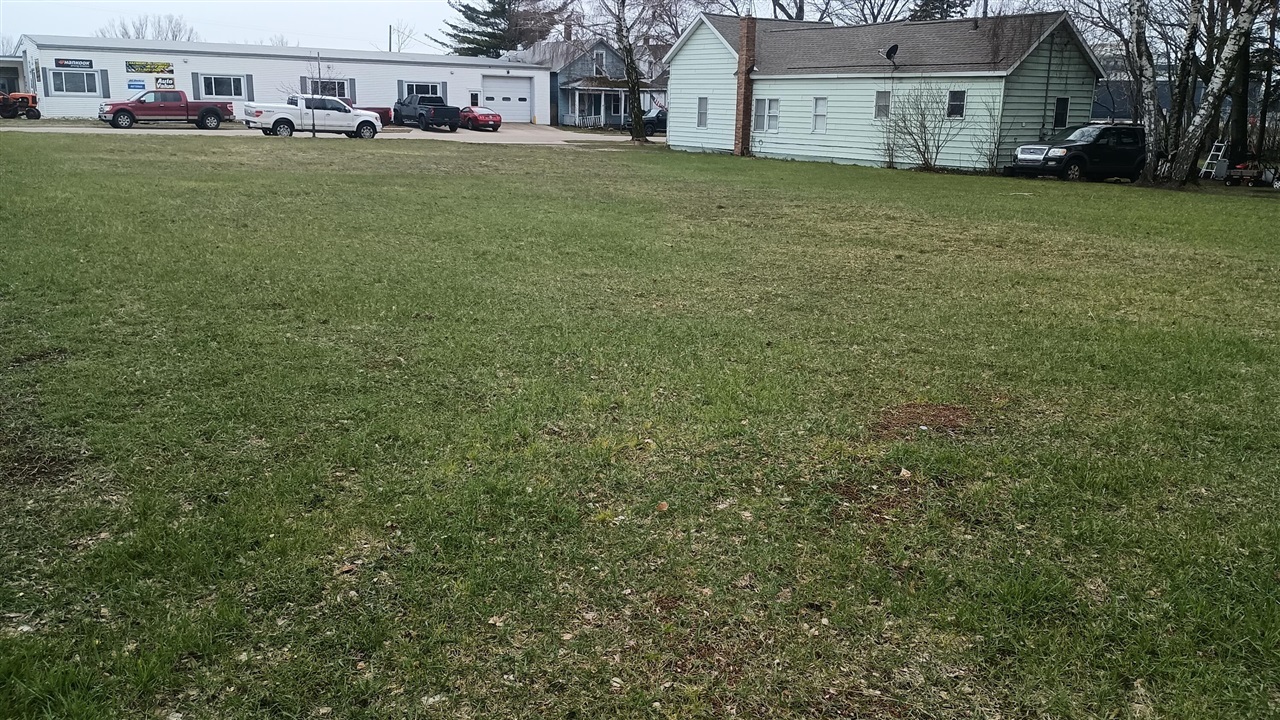 102 W Dowland Street, Ludington, MI, 49431-2045