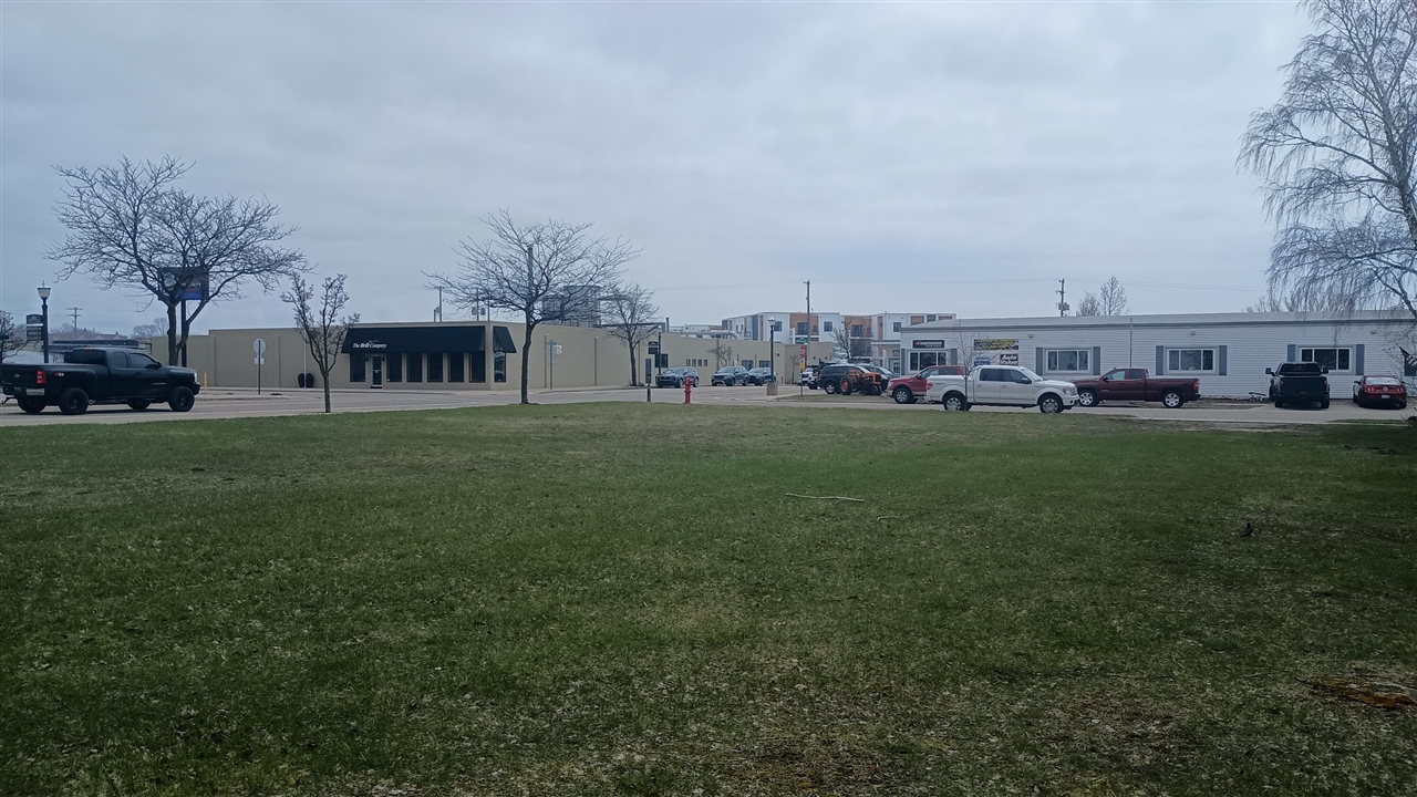 102 W Dowland Street, Ludington, MI, 49431-2045