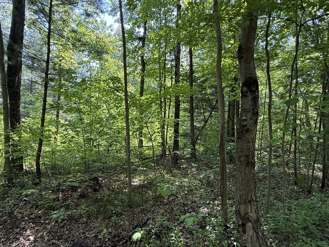 0 Austin Road, Twin Lake, MI, 49457