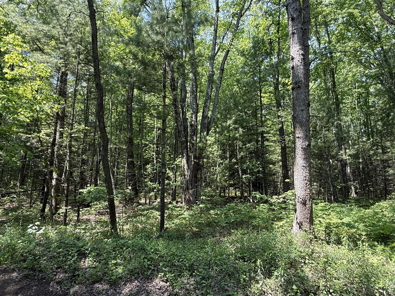 0 Austin Road, Twin Lake, MI, 49457