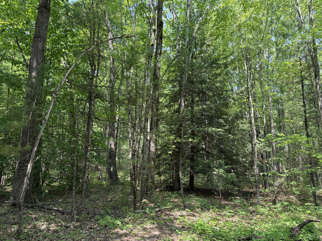 0 Austin Road, Twin Lake, MI, 49457