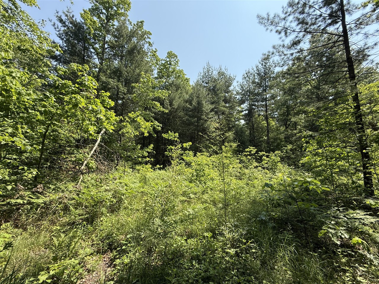 0 Austin Road, Twin Lake, MI, 49457