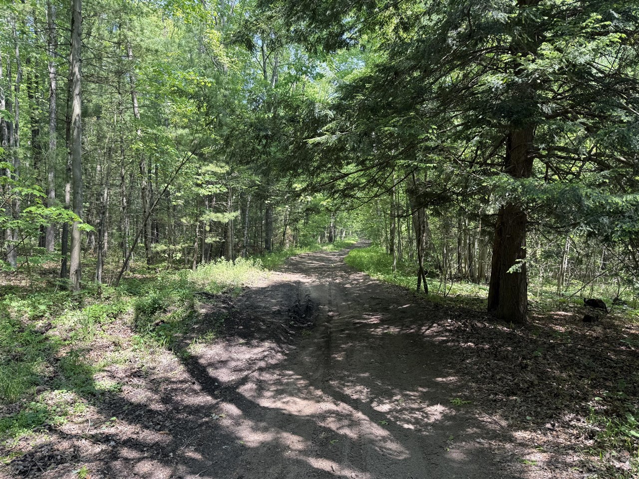 0 Austin Road, Twin Lake, MI, 49457