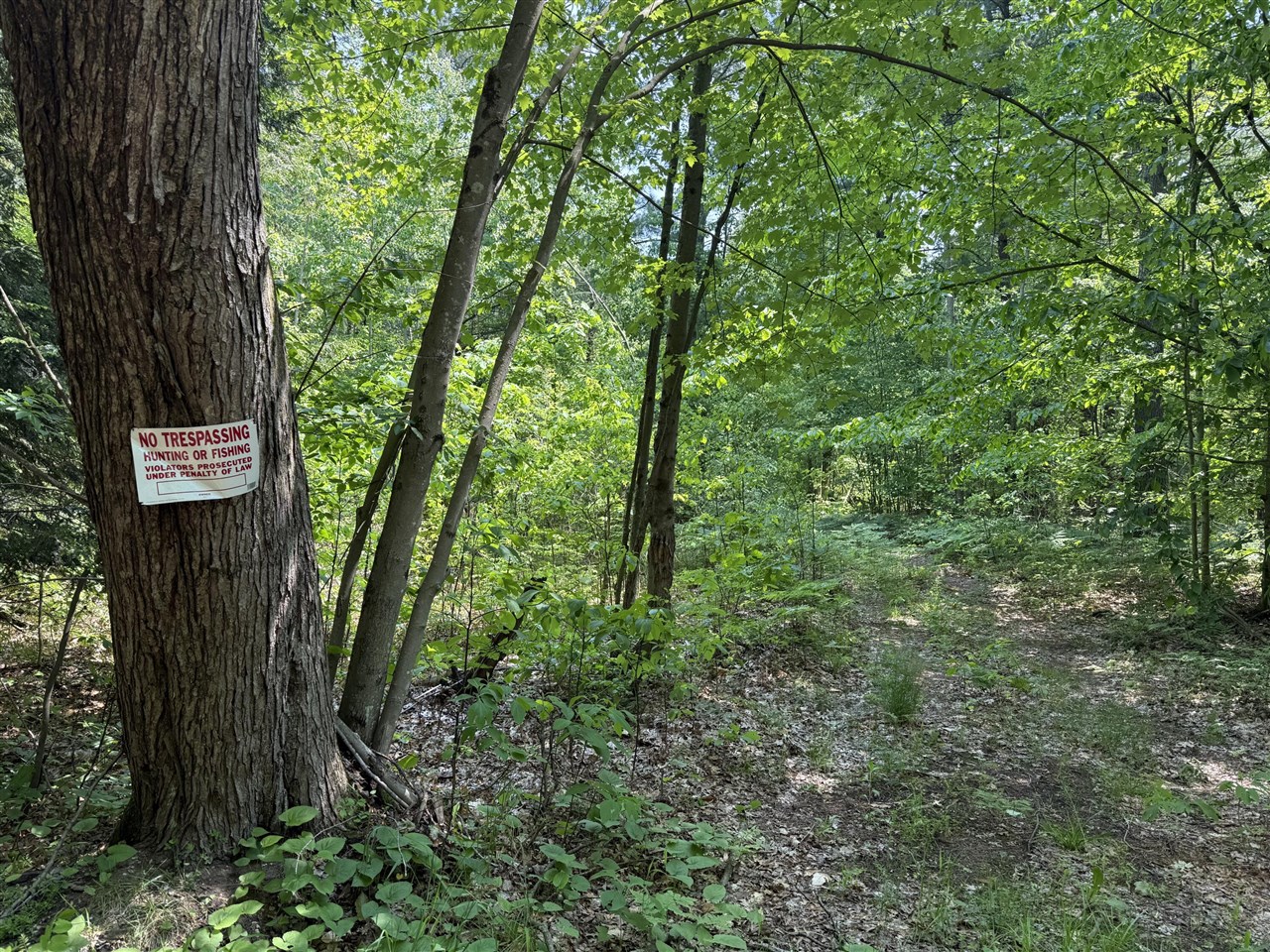 0 Austin Road, Twin Lake, MI, 49457