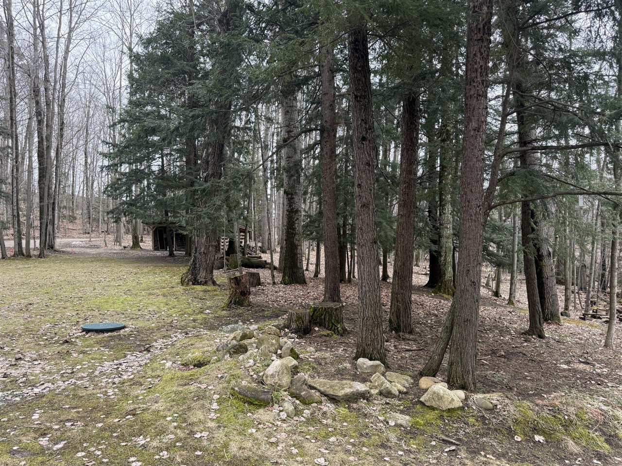 1075 Forest Ridge Trail, Charlevoix, MI, 49720-9695