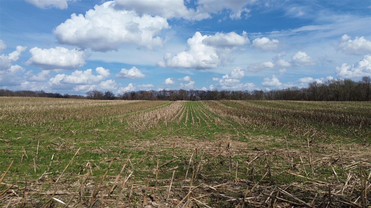 M-66, Sturgis, MI, 49091-49091